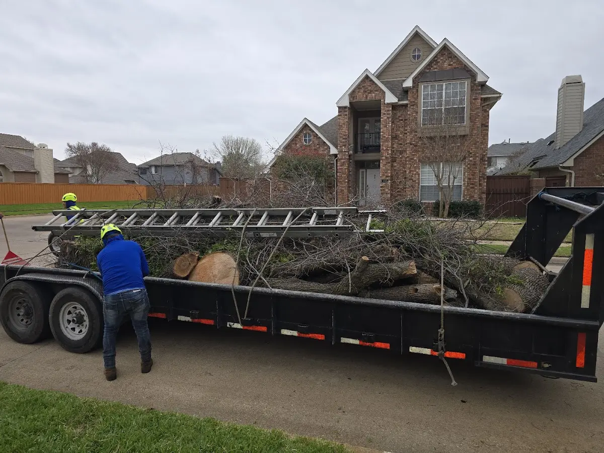 Expert Tree Removal with proper safety equipment in Land O Lakes